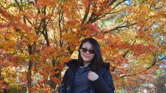 Nguyen Bich Ngoc